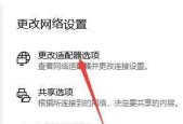 解决WiFi已连接但无法上网的问题（探究WiFi连接问题及解决方法）