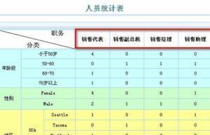 深入了解网站数据统计的关键指标（掌握关键指标）  第1张