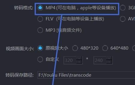 最受欢迎的MP4格式转换软件（一键转换）  第1张