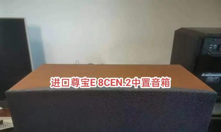 尊宝中置音箱的正确使用方法是什么？  第3张